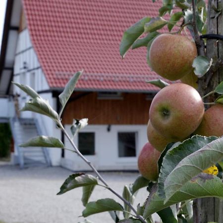 Ferienhof Waggershauser Friedrichshafen Exterior foto