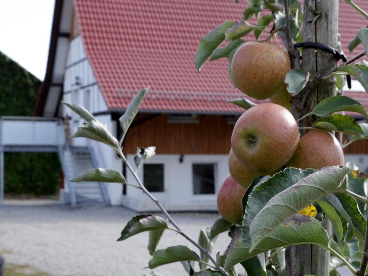 Ferienhof Waggershauser Friedrichshafen Exterior foto